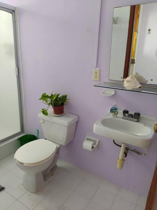 Apartmán Coral Cancún Exteriér fotografie